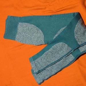 Teal leggings